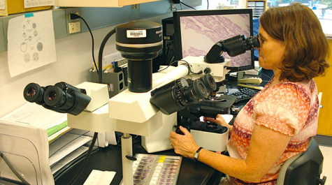 Histopathology